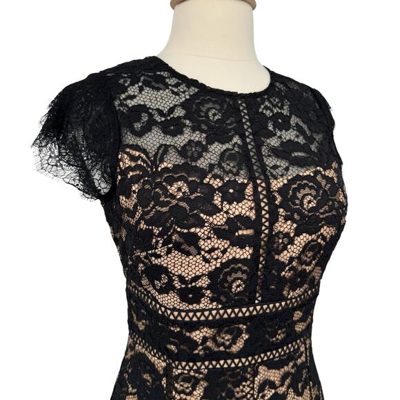 WHBM Black Cap Sleeve All Over Lace Godet Fit & Flare Dress Sz 6 Holiday NWT - Picture 8 of 17